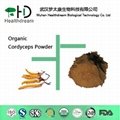 Organic Cordyceps Powder 1