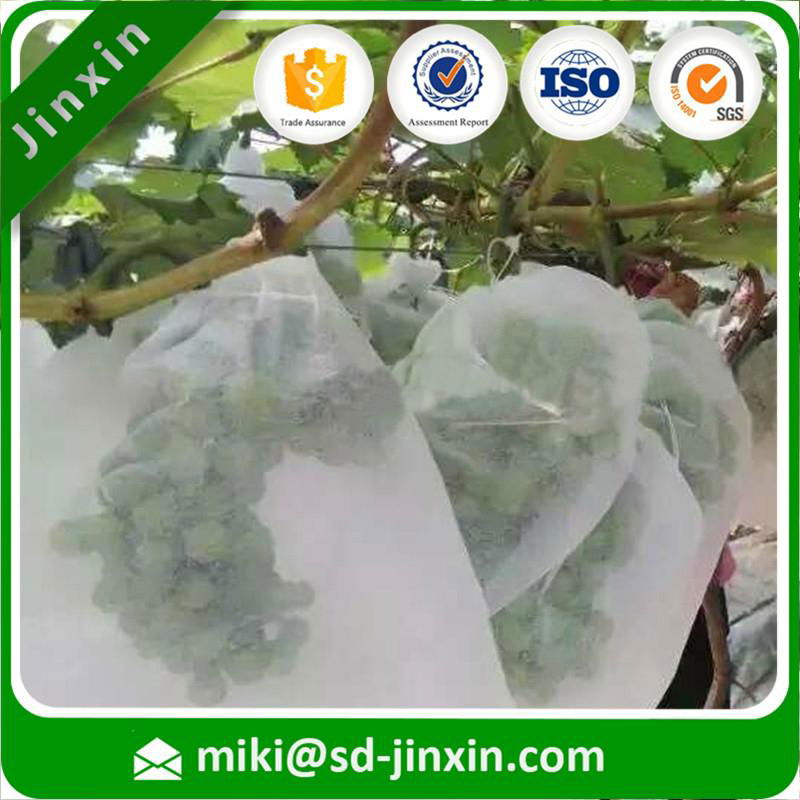 100% pp nonwoven fabric manufacturer for agricultural  home textile   bags  2