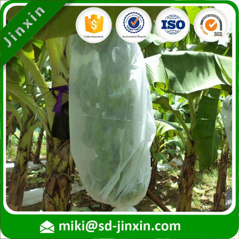 100% pp nonwoven fabric manufacturer for agricultural  home textile   bags  4