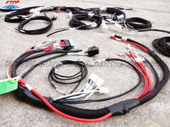 auto wire assemblies