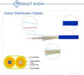 双模双心室内光缆 3