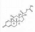 醋酸泼尼松  1