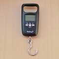 Ebay hot sale 50kg professional electronic scale with hook 2
