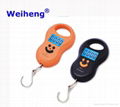 cheap 50kg digital hanging scale for travel use 1