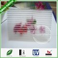 100% Virgin Crystal PC Two-layers Sheet Frosted Polycarbonate Hollow Sheet