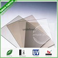 Clear Mat-Finish Polypanel for Bathroom Abrosive Polycarbonate Sheet