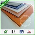 Clear Mat-Finish Polypanel for Bathroom Abrosive Polycarbonate Sheet