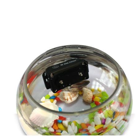 一拖一宠物训练器训狗器