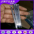 concrete straight grooved shank type steel cement nail good quality 1