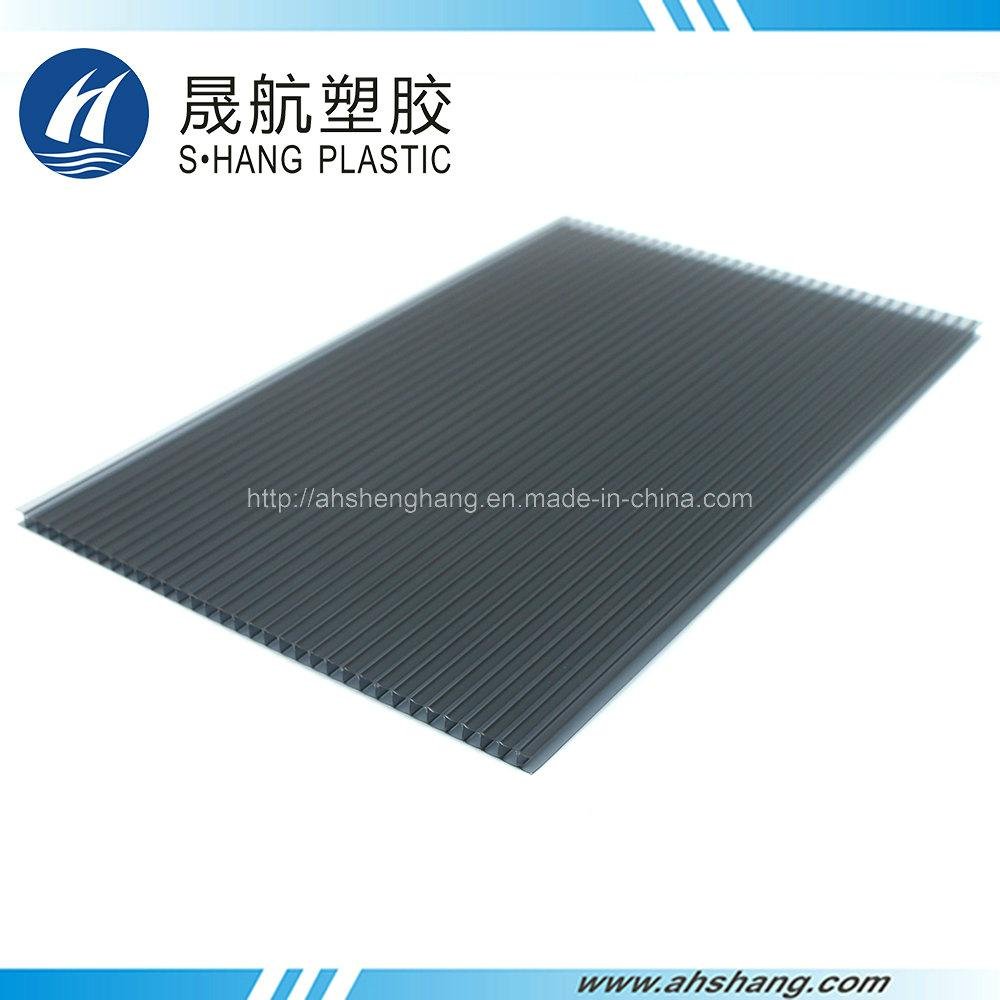 Twin-wall Polycarbonate PC Hollow Sheet