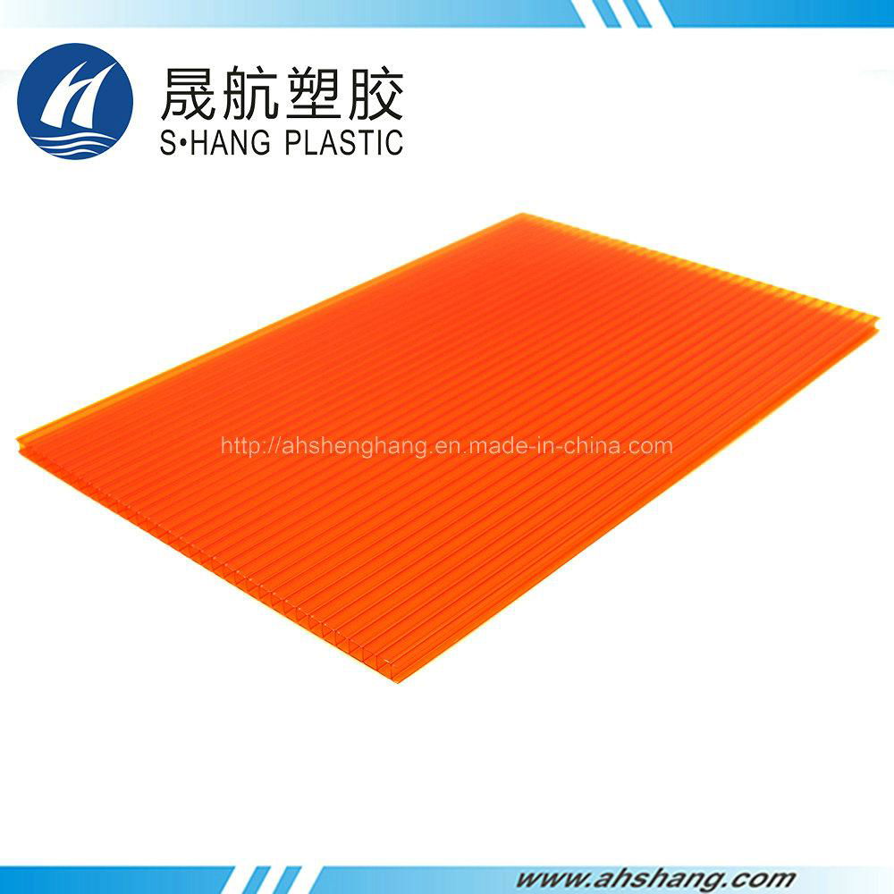 Twin-wall Polycarbonate PC Hollow Sheet 2