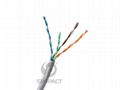 UTP CAT5E Cable 1