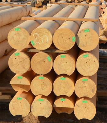Machine Rounded Logs for House Construction