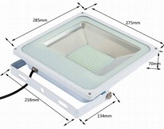 50W High Quality 2017 New Released LED Flood Light
