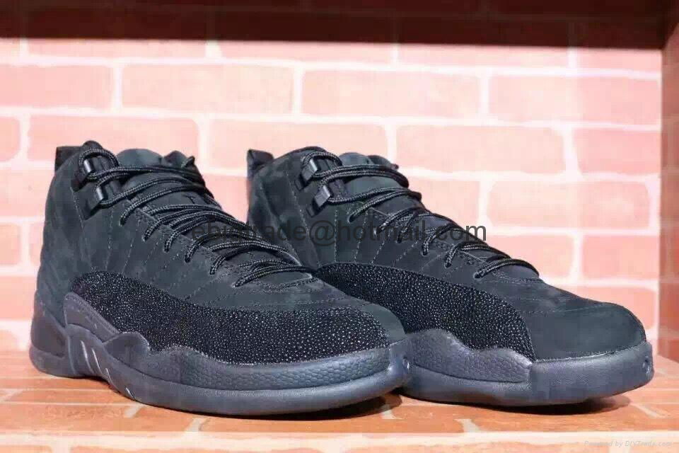 Nike air jordan 12 