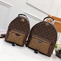 LV Bags Louis Vuittons Handbags Louis Vuitton Monogram LV Louis Vuitton Damier 