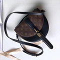 LV Bags Louis Vuittons Handbags Louis Vuitton Monogram LV Louis Vuitton Damier 