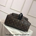 Louis Vuitton Backpack LV  Palm Springs Backpack LV monogram Backpack 