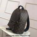 Louis Vuitton Backpack LV  Palm Springs Backpack LV monogram Backpack 