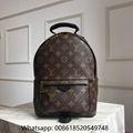 Louis Vuitton Backpack LV  Palm Springs Backpack LV monogram Backpack 