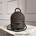 Louis Vuitton Backpack LV  Palm Springs Backpack LV monogram Backpack 