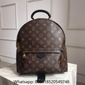 louis vuitton backpack 