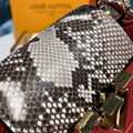 Louis Vuitton Capucines MM Louis Vuitton Capucines BB Leather bags LV handbags