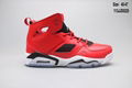 Nike Air Jordan 6 Shoes  AJ6 sneakers AJ shoes on sale Cheap Air Jordan shoes