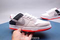 Nike SB Dunk Low Pro Skate boarding Shoes Wholesale Nike shoes nike women shoes