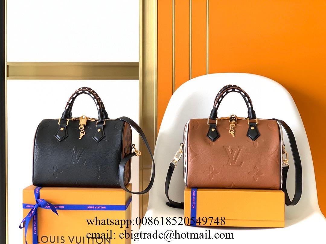 Louis Vuitton Bags new 