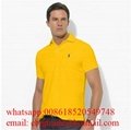 Wholesale Polo              t shirts men Cheap              Polo t shirts Price 3