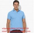 Wholesale Polo              t shirts men Cheap              Polo t shirts Price 6