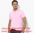 Wholesale Polo              t shirts men Cheap              Polo t shirts Price 8