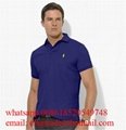 Wholesale Polo              t shirts men Cheap              Polo t shirts Price 10