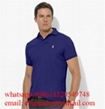 Wholesale Polo              t shirts men Cheap              Polo t shirts Price 10