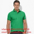 Wholesale Polo              t shirts men Cheap              Polo t shirts Price 14