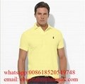 Wholesale Polo              t shirts men Cheap              Polo t shirts Price 15