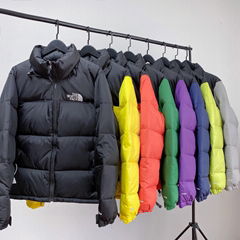 Wholesale The North Face 700 Down Jacket Women Men Winter Warm Outerwear Puffer 