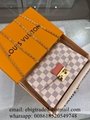 Louis Vuitton Small leather Goods Wholesaler LV bags Louis Vuitton Wallet Purse