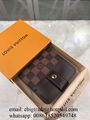 Louis Vuitton Small leather Goods Wholesaler LV bags Louis Vuitton Wallet Purse