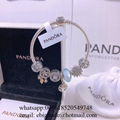 Wholesaler Pandora Chain Bracelets Pandora Bangles Pandora earrings Jewelry 6
