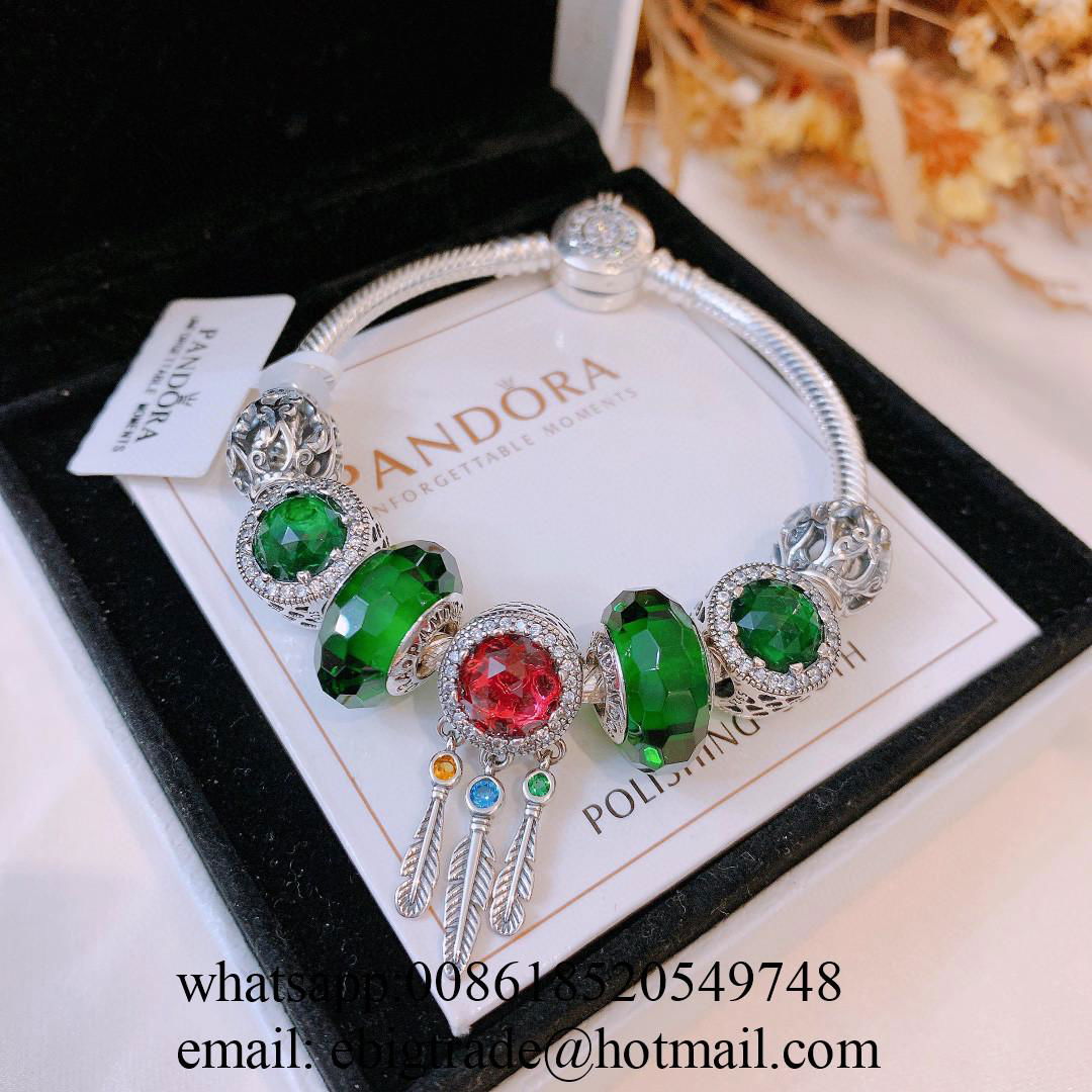 Wholesaler Pandora Chain Bracelets Pandora Bangles Pandora earrings Jewelry 3