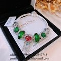Wholesaler Pandora Chain Bracelets Pandora Bangles Pandora earrings Jewelry