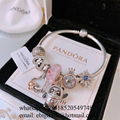 Wholesaler Pandora Chain Bracelets Pandora Bangles Pandora earrings Jewelry 7