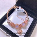 Wholesaler Pandora Chain Bracelets Pandora Bangles Pandora earrings Jewelry 8