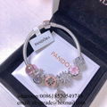 Wholesaler Pandora Chain Bracelets Pandora Bangles Pandora earrings Jewelry 11