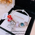 Wholesaler Pandora Chain Bracelets Pandora Bangles Pandora earrings Jewelry 12