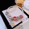 Wholesaler Pandora Chain Bracelets Pandora Bangles Pandora earrings Jewelry 4