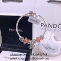 Wholesaler Pandora Chain Bracelets Pandora Bangles Pandora earrings Jewelry 14