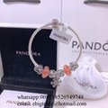 Wholesaler Pandora Chain Bracelets Pandora Bangles Pandora earrings Jewelry